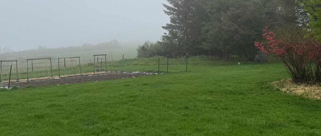 Why We’re Celebrating a Rainy&nbsp;Day